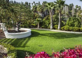 Luxury listing: Family compound with multiple pools