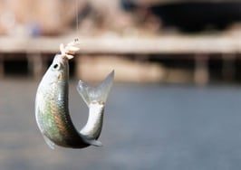 3 email newsletter topics to hook prospects