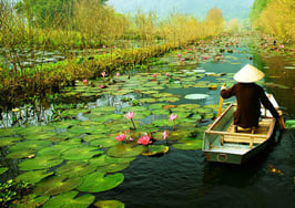 What Chinese buyers want when house-hunting in the US