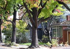 Agent/broker perspective: Do agents have any rights to their 'turf'?