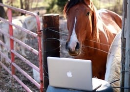 Meet your new marketing competition: Willie Neighson