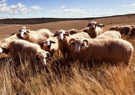 Why agent retention is our greatest strength -- and how you can achieve it