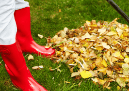 How to rake in the Facebook leads as a complete beginner