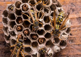 4 types of buzz-building content for real estate