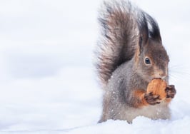 Podcast: Need more leads? Improve your prospecting