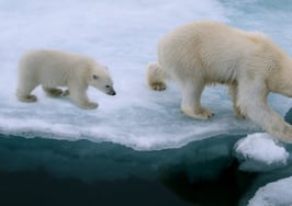 Climate change could sink two million homes by 2100, Zillow says