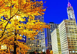 Chicago: young, wild and cheap