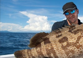 Placester, real estate website provider, set to power property search for 375 more news sites