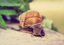 When business is sluggish: 10 to-dos for the slow season