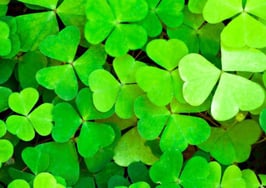 How to spur creativity and engagement all year long