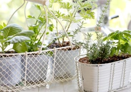 How to create closing gifts worthy of spring