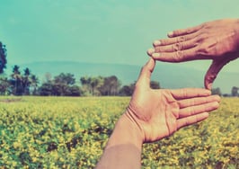 A pair of hands finding a view in the distance