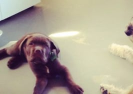 How to use social good to boost your business