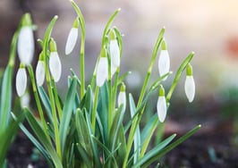 In March, existing-home sales 'came back in force' across the country