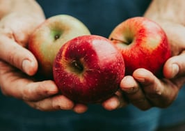 Comparing apples to apples