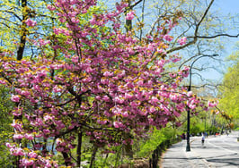 The best month and day to put a home on the market, according to Zillow