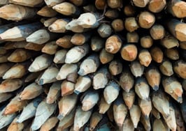 An array of wooden spikes