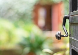 A door opening onto a garden