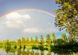 Podcast: Reimagine your goals with Elaine Northrop's creative visualization