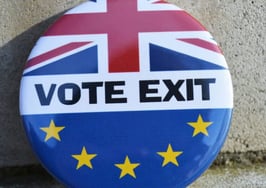 A Brexit pin