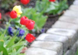 10 thrifty DIY upgrades to make your home feel expensive