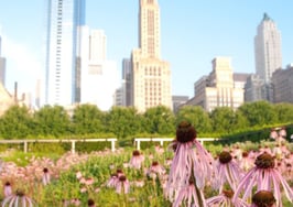 ZIP code profile: 60169