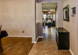 Pandas aren't native to Texas, but this one found a home