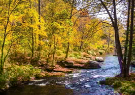 ZIP code profile: 20602