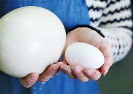 A woman holding a large egg and a small egg