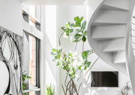 Houzz tour: patience makes perfect