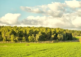 A picturesque view of the land
