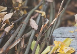 An axe splitting wood