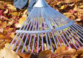A man raking leaves in the fall