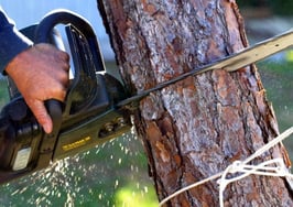 Where should real estate agents draw the line with listing clients?