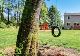 A tire swing and playground behind a home