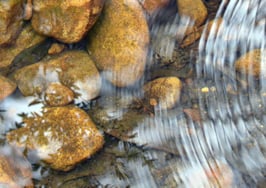 Ripples in clear water