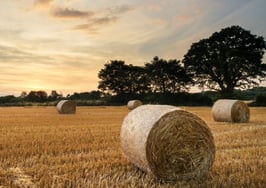 Bales of hay in the country