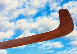 A boomerang
