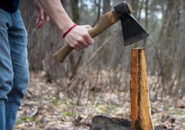 A man splitting a log