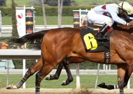 Horses racing neck-in-neck