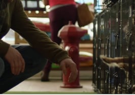 Coldwell Banker ad stars rescued pup in honor of 'Homes for Dogs'