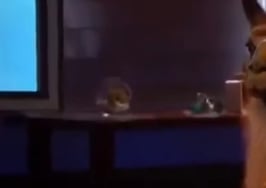 Guard Llama lands $100K investment from 'Shark Tank's' Barbara Corcoran