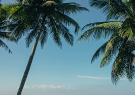 Back from vacay? Jump start your summer prospecting