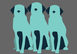 Crazy Sh*t In Real Estate: Who let the dogs out?