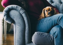 6 ideas to fuel your real estate prospecting efforts