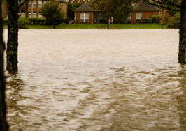 Flood insurance issues muddy the waters of Houston disaster