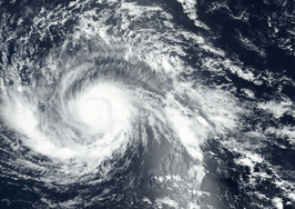 To Florida, Love Texas: Agents offer hurricane advice