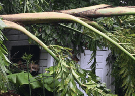 Irma spared some islands in Florida Keys and savaged others