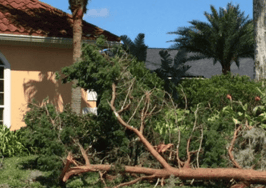 Agents survey damage and new business in Irma-ravaged Jacksonville
