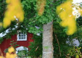 A month in review: The September housing market